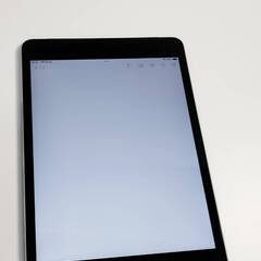 【SIMフリー】iPad mini 4/128GB/A1550〈NK762J/A〉の画像