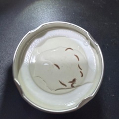 プラナリア10匹セット　
条件付き：300円の画像