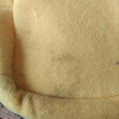 ピカチュウ バッグの画像