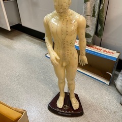 整体人形②/人体模型/骨董品の画像