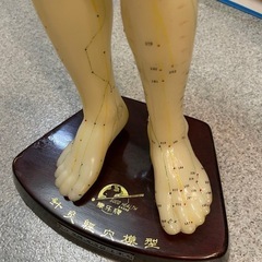 整体人形②/人体模型/骨董品の画像