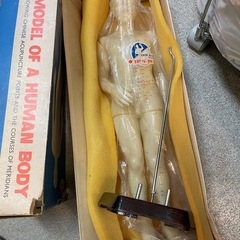 整体人形②/人体模型/骨董品の画像