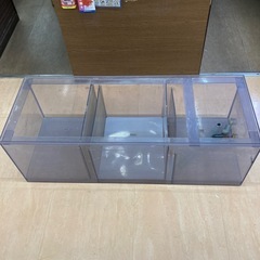 千葉県の大型水槽の中古が安い！激安で譲ります・無料であげます