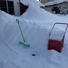 排雪