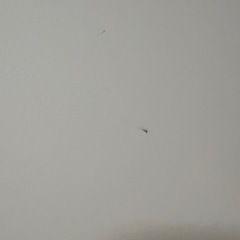 【〜2/15迄の掲載】POLED 折りたたみ プレイマット 140×210 ホワイト　大判 防音 防水 厚手の画像