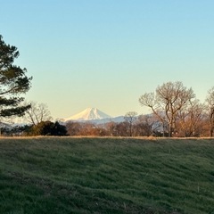 2/16(日)アゼリアヒルズ　行ける人いませんか？