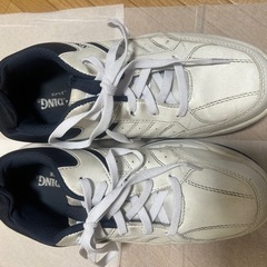 メンズ27cm幅広スニーカーあげますの画像