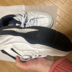 メンズ27cm幅広スニーカーあげますの画像