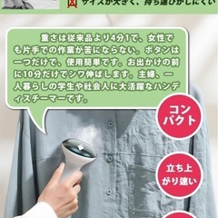 スチームアイロンの画像