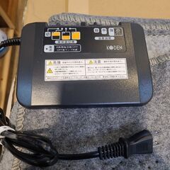 KODEN 2畳相当 電気カーペットVWU2015の画像