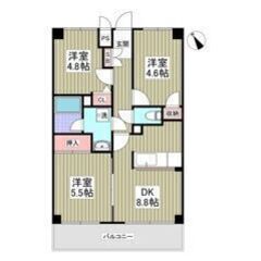 ✨🉐フリーレント1ヶ月付き🉐✨敷金0・礼金0・仲介手数料0🧡内装...