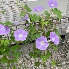 カウンセリング
