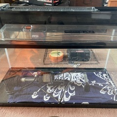 60センチ　水槽　上部フィルター付き
の画像