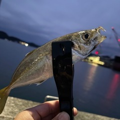 アジングセット
