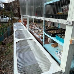 多肉小屋 dIy 日曜大工  ビニールハウス 温室 ガーデンルーム − 福岡県
