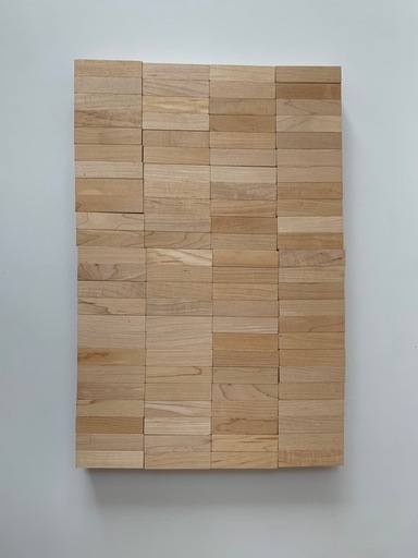 ドクスピール　積み木　直方体　192個　木製ケース付き ドクスピール 積み木 直方体 192個 木製ケース付き