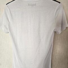 平成パンク グランジ V系 ネオお兄系 白T Tシャツ

の画像