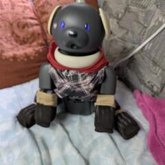 SONY　AIBO　2時間稼働品の画像