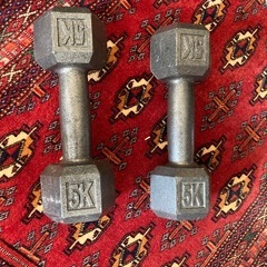 ダンベル　5kg × 2個