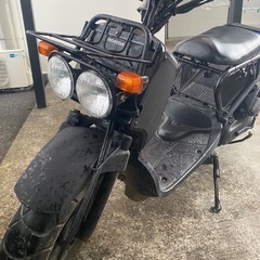 ホンダ　ズーマー50