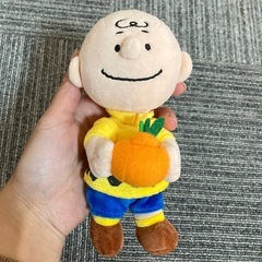 SNOOPY GARDEN ★ チャーリーブラウン　ぬいぐるみキ...