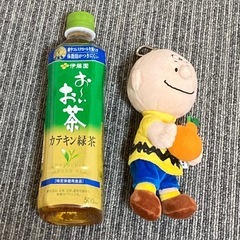 SNOOPY GARDEN ★ チャーリーブラウン　ぬいぐるみキーボルダー　人気の画像
