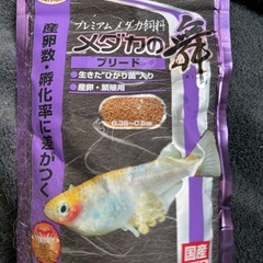 メダカの舞 餌