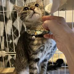 ともくん🍀6ヶ月(ご相談中)