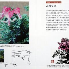 値下げ　写真集「山に魅せられ半世紀」の画像