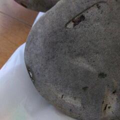 エドウィン　スニーカーの画像