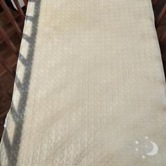 ベビーベットの画像