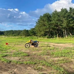 mtx125r 決まりましたの画像