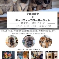 子犬譲渡会＆チャリティーフリーマーケット