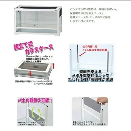 パンテオン6035 爬虫類ケージ新品