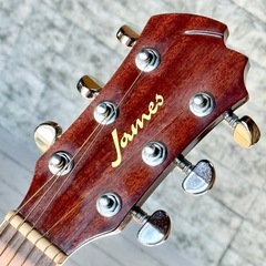 James JF350NA トップ単板アコースティックギターの画像