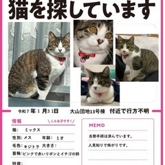猫を探してます