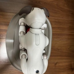 aibo