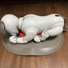 aiboの画像