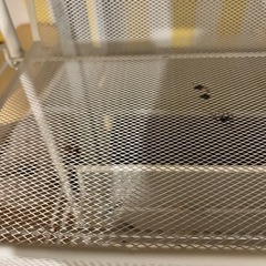【お話中】IKEA ワゴンの画像