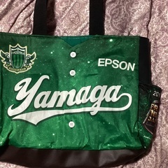 松本山雅の中古が安い！激安で譲ります・無料であげます｜ジモティー