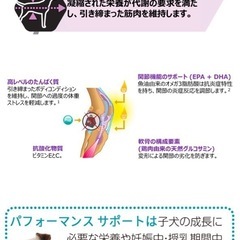 最高品❣️ 内容量20㌔❣️ドックフード 全犬種　お試し🆗 量り売り 要相談 内容量20㌔【 新品♥️未開封 】ドッグ パフォーマンス 犬 ドッグフード 希少 餌  エサの画像