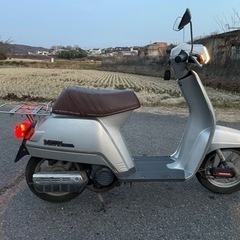 昭和58年 ホンダ ヴォーカル VOCAL 4スト 旧車 実働の画像
