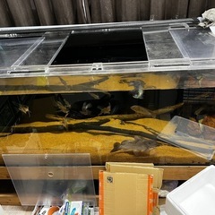 3月16日で終了します。　
アクリル　水槽　180×60×60