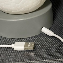 恐竜 ルームライト 配達可 (要相談)の画像
