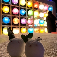 夜の歩くスキーしませんか