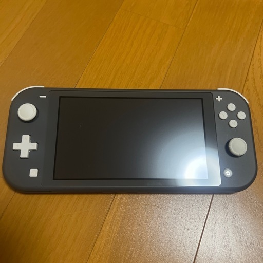 Nintendo Switch Lite グレー ACアダプター付き　ゲーム