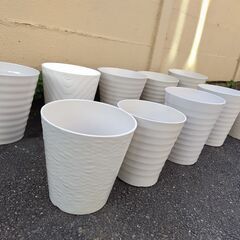 世田谷区近辺配送可能　18点セット　陶器製植木鉢 ホワイト 底穴あり 観葉植物 胡蝶蘭鉢 円形 丸 大型 白の画像