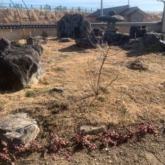 候補者様と日時調整中　庭石　日本庭園 
