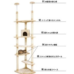 【差し上げます】キャットタワーの画像