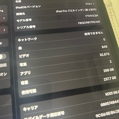 程度良！ipadPro 12.9インチ第3世代256GB wif...
